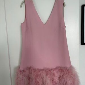 BCBG Max Azria Light Pink Feather Shift Mini Dress